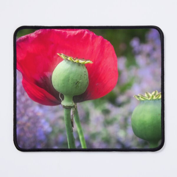 Item preview, The Poppy designed and sold by Jeff  Wilson.