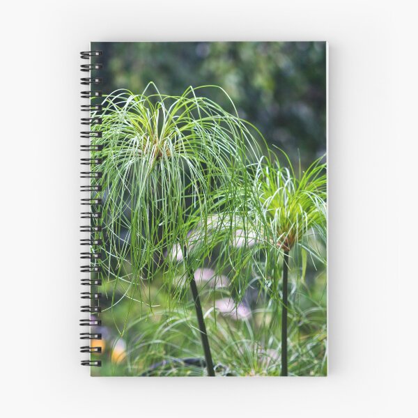 Item preview, The Plant Label Says I Am "Papyrus" designed and sold by Sandra Foster.