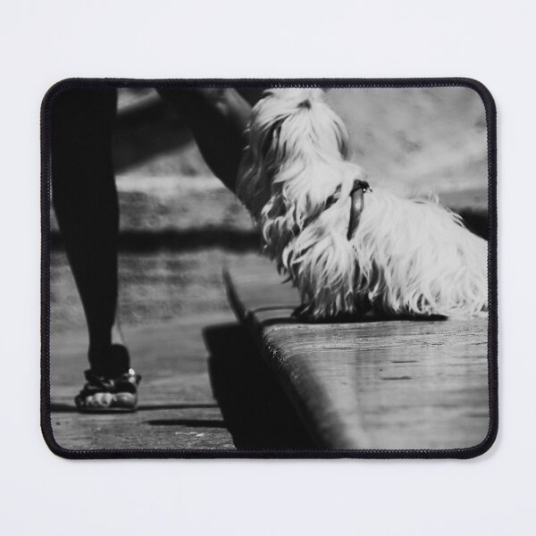 Item preview, A dog and a woman in the Spanish Place of Rome designed and sold by DavideGualtieri.