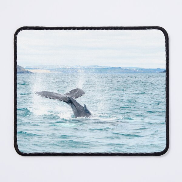 Item preview, Humpback Whale off the Irish coast designed and sold by Calvin Jones.