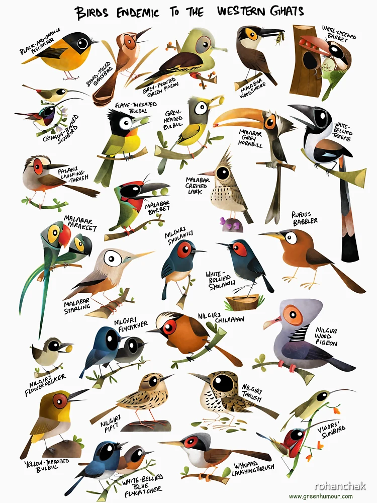 Endemic Birds of India T-shirts - Bird Count India