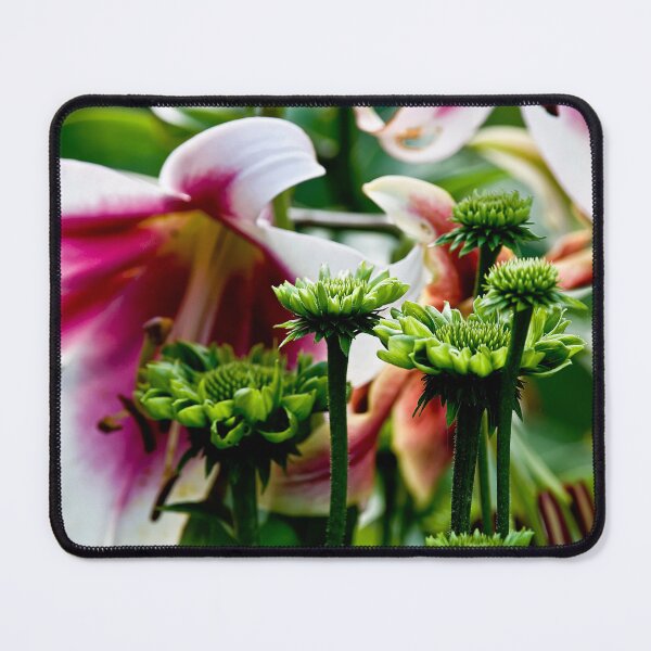 Item preview, Purple Cone Flower designed and sold by Michael Cummings.