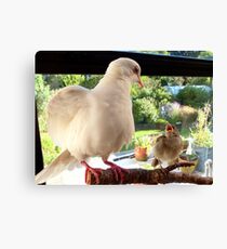 Feed YOU? ... You Must Be Joking! - Dove & Sparrow - NZ Canvas Print