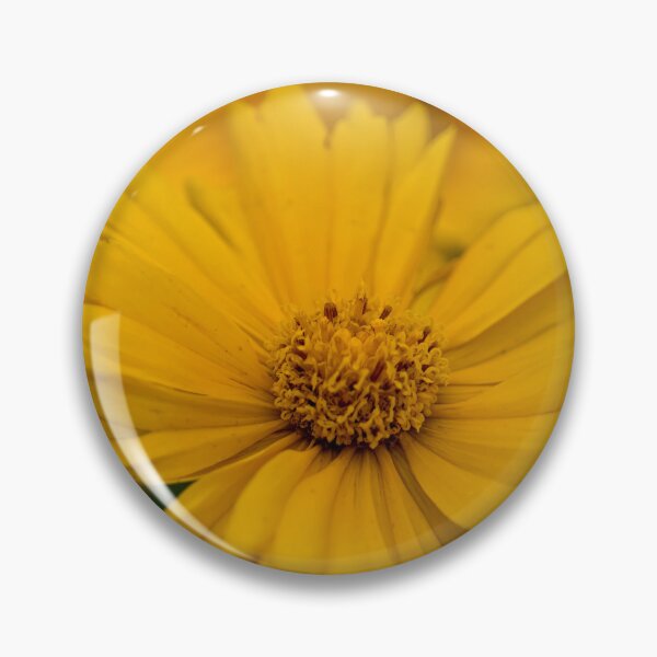 Item preview, Coreopsis designed and sold by Michael Cummings.