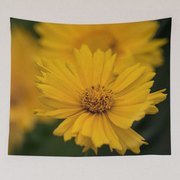 Item preview, Coreopsis designed and sold by Michael Cummings.