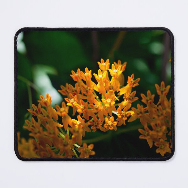 Item preview, Light in the dark designed and sold by mkellermedia.