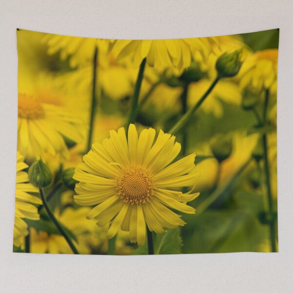 Item preview, Camphorweed designed and sold by Michael Cummings.