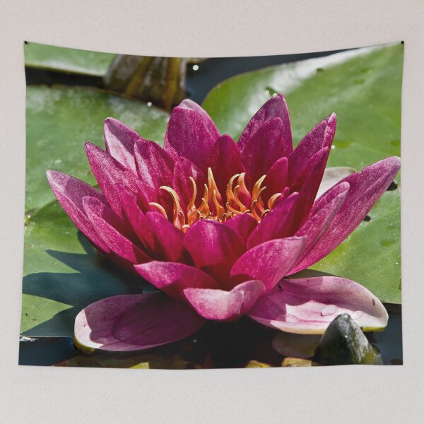 Item preview, Red Waterlily designed and sold by Michael Cummings.