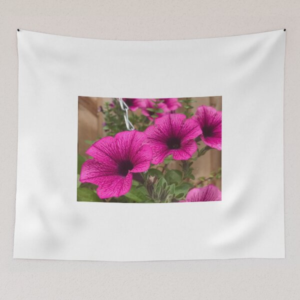 Item preview, Pink petunia designed and sold by Luilui7.
