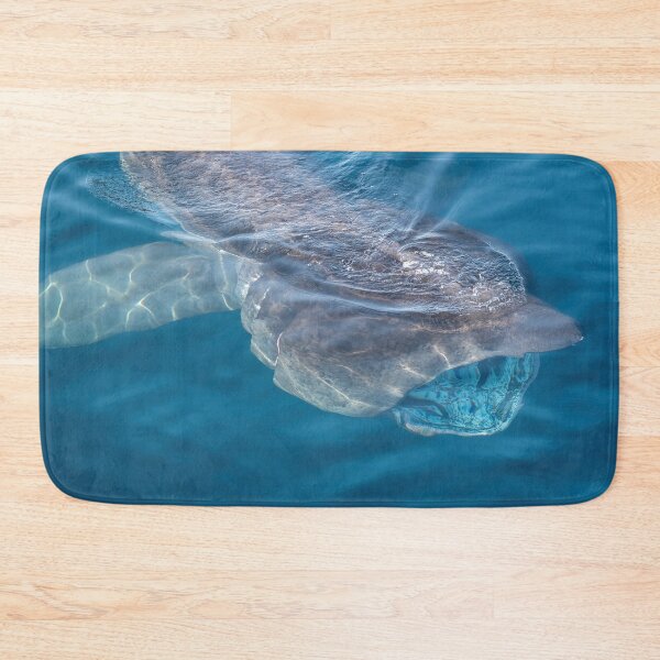 Item preview, Basking Shark, West Cork, Ireland designed and sold by Calvin Jones.