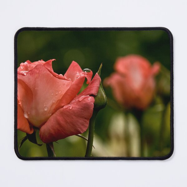 Item preview, Dark Peach Rose designed and sold by Michael Cummings.