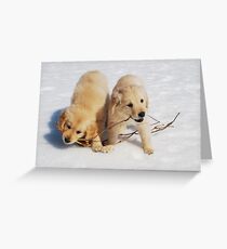 Puppies in Winter Greeting Card