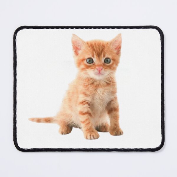 Item preview, cate cute and funny for you. designed and sold by chophx.