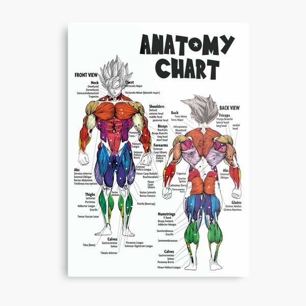 Artikel-Vorschau von Goku-Muskel-Diagramm - Anatomie-Diagramm - Anime Gym Motivational, designt und verkauft von gohanflex.
