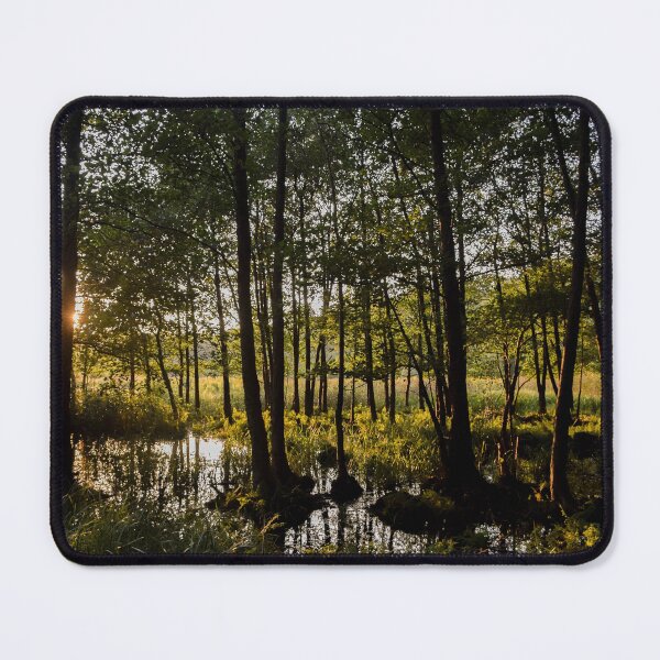 Item preview, Thin Lines designed and sold by ehlphotography.