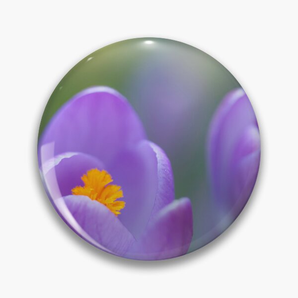 Item preview, Spring Time Garden Crocuses designed and sold by CyaniRose.