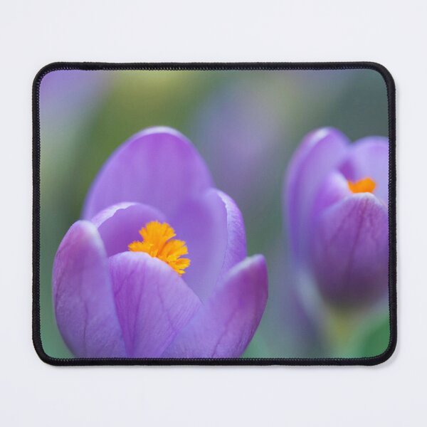 Item preview, Spring Time Garden Crocuses designed and sold by CyaniRose.