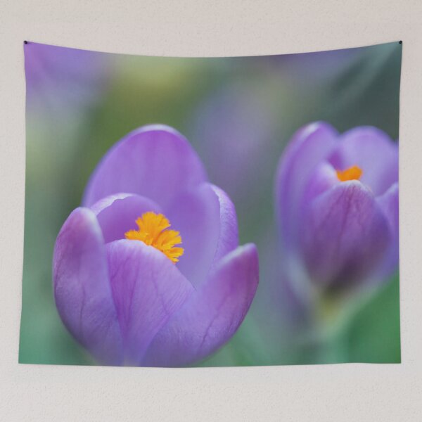 Item preview, Spring Time Garden Crocuses designed and sold by CyaniRose.