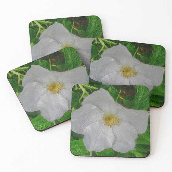 Item preview, Wild white rose designed and sold by Shulie1.