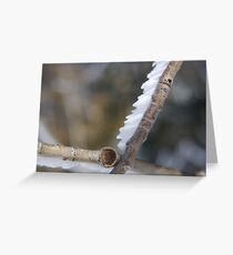 Wings of Snow Greeting Card