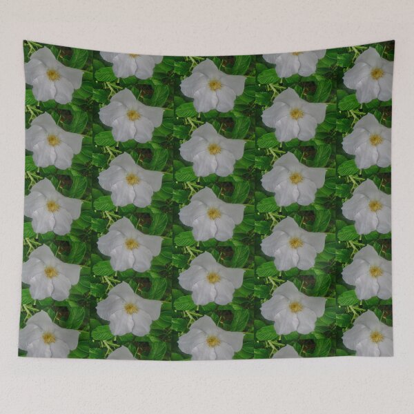Item preview, Wild white rose designed and sold by Shulie1.