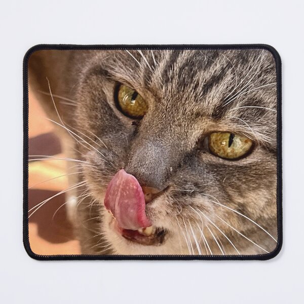 Item preview, Cat Licking Nose designed and sold by RPMouton.