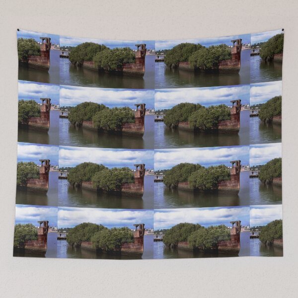Item preview, Shipwreck (S.S. Ayrfield), Homebush Bay, Australia designed and sold by muz2142.