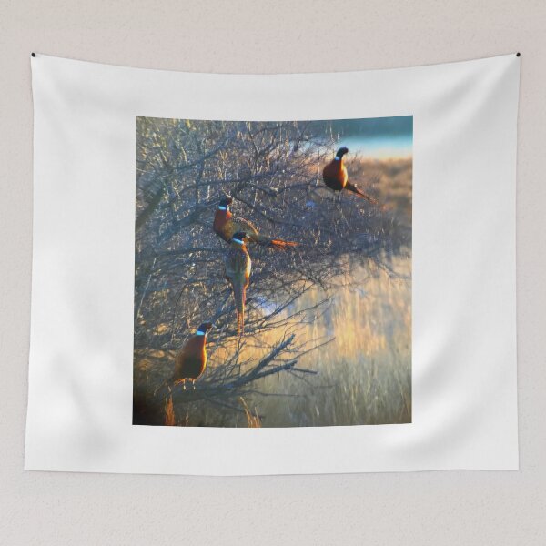 Item preview, Pheasant sunset designed and sold by chubsmcgee.