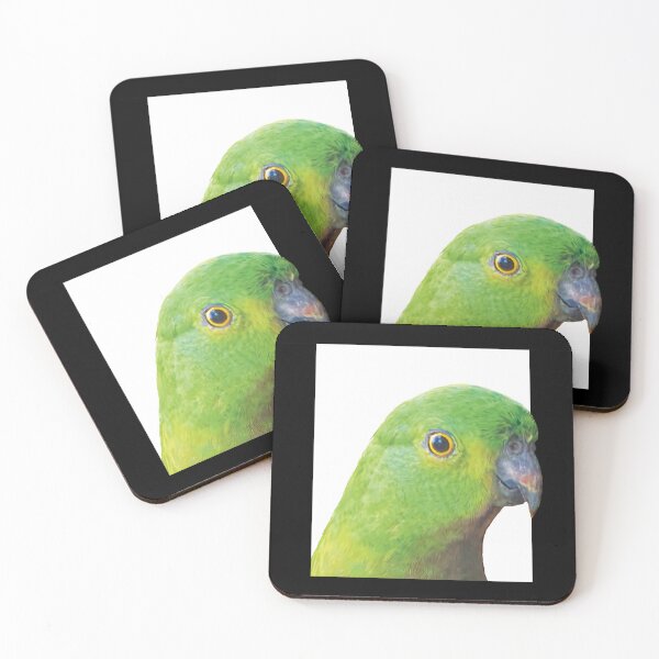 Item preview, King Parrot Framed designed and sold by BeccaJaneDesign.