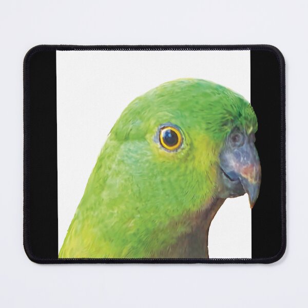 Item preview, King Parrot Framed designed and sold by BeccaJaneDesign.
