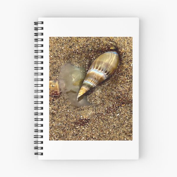 Item preview, Beach Snail designed and sold by RPMouton.