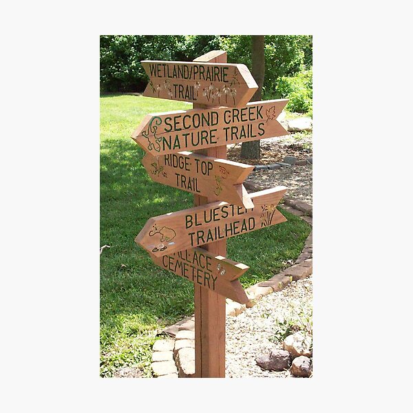 Finding My Way Photographic Print