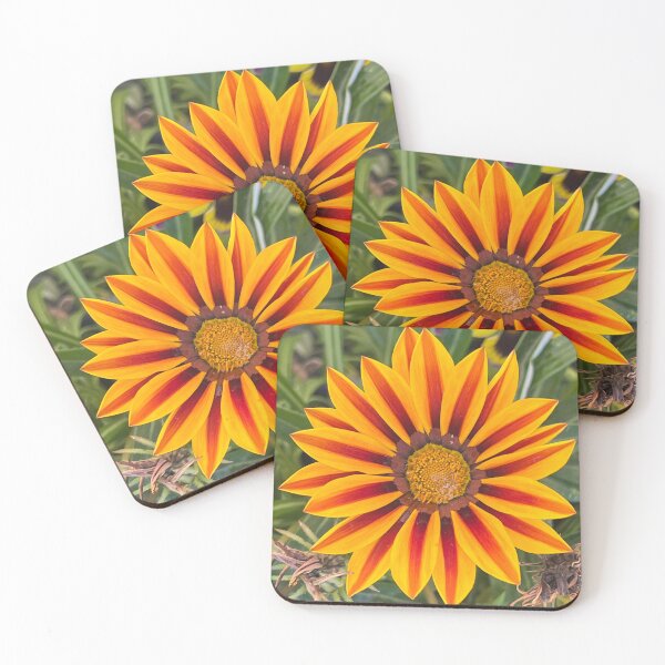 Item preview, Gazania Flower designed and sold by RPMouton.