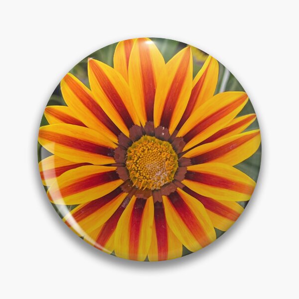 Item preview, Gazania Flower designed and sold by RPMouton.