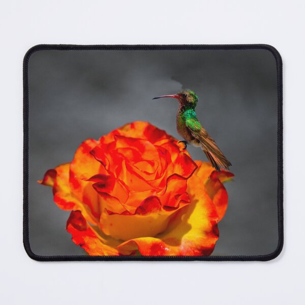 Item preview, Tea Rose For One designed and sold by alabca.