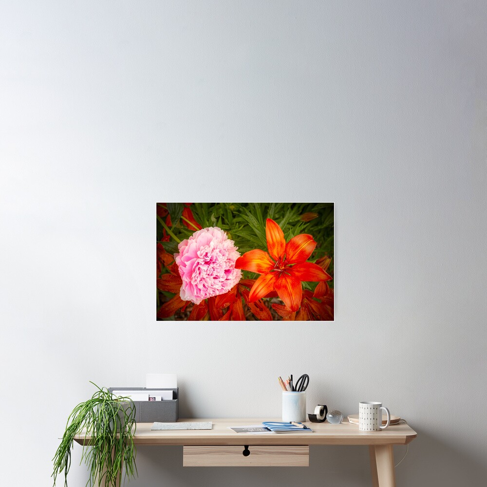 Item preview, Poster designed and sold by jwwalter.