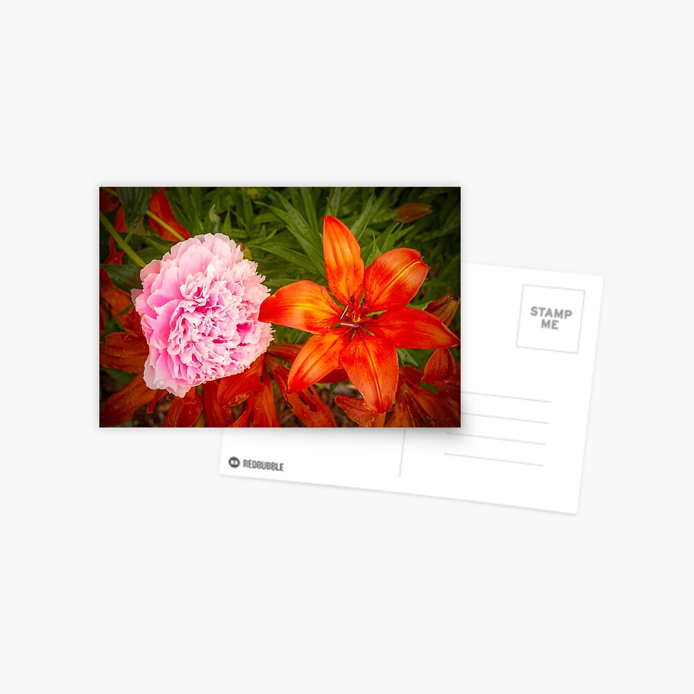 Item preview, Postcard designed and sold by jwwalter.