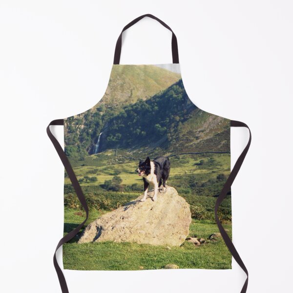 Item preview, Young Indy at Aber Falls designed and sold by Michael Haslam.