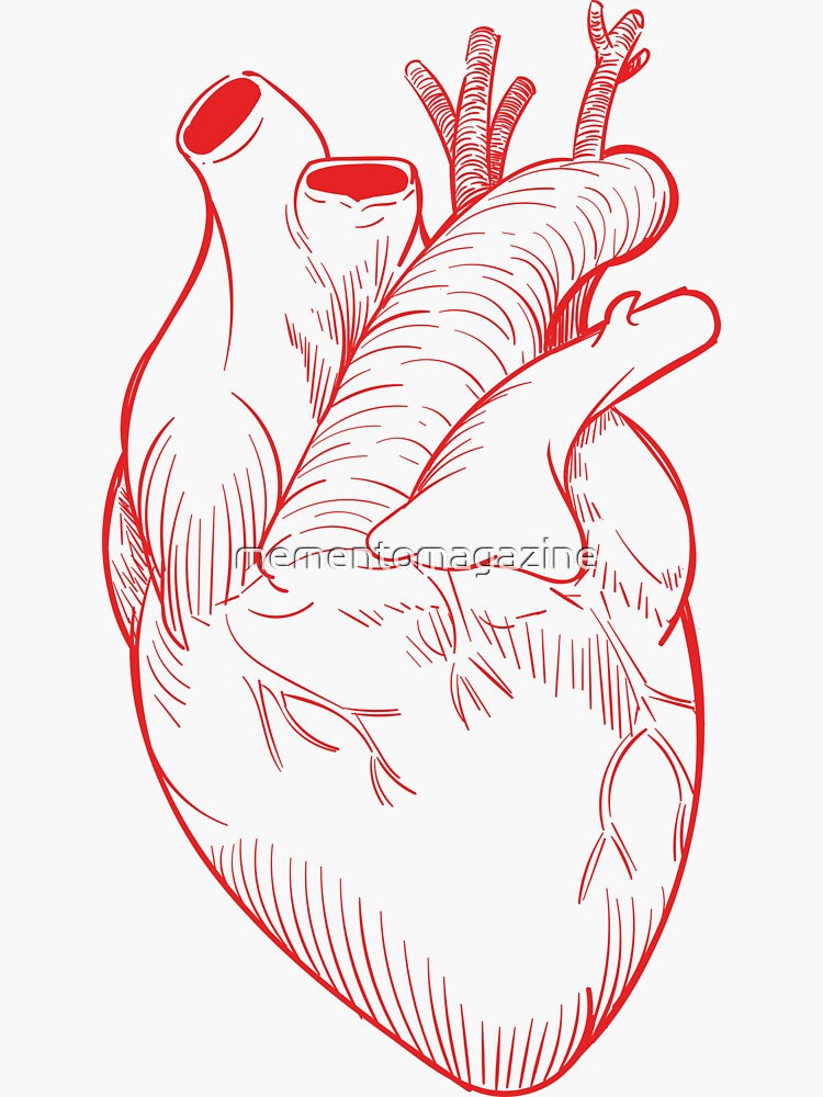 "hand drawing heart" Sticker for Sale by mementomagazine Redbubble