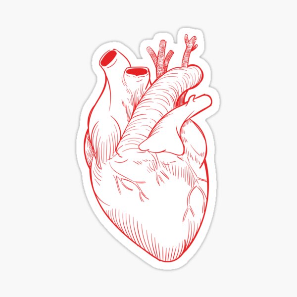 "hand drawing heart" Sticker for Sale by mementomagazine Redbubble