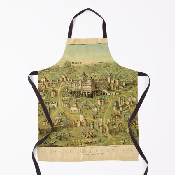 Item preview, The Ancient City of Jerusalem & Solomon's Temple designed and sold by allhistory.