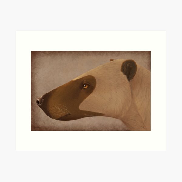 Item preview, Hyaenodon sp. designed and sold by synapsid.