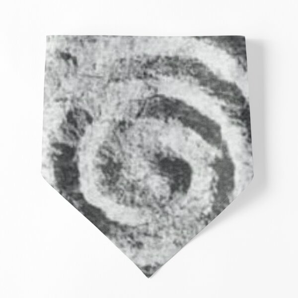 Spiral: Oldest Symbol in the World Pet Bandana