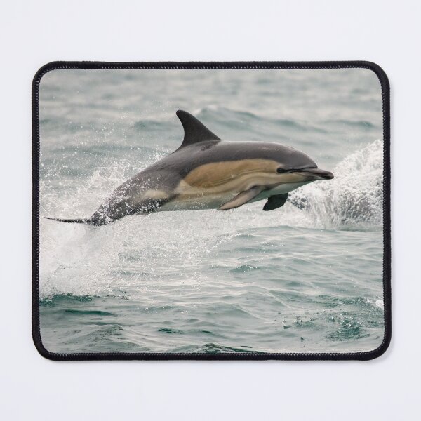 Item preview, Common Dolphin, West Cork, Ireland designed and sold by Calvin Jones.