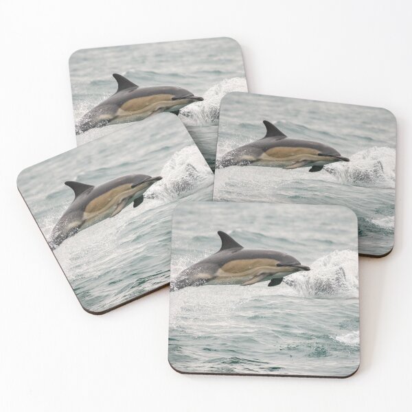 Item preview, Common Dolphin, West Cork, Ireland designed and sold by Calvin Jones.