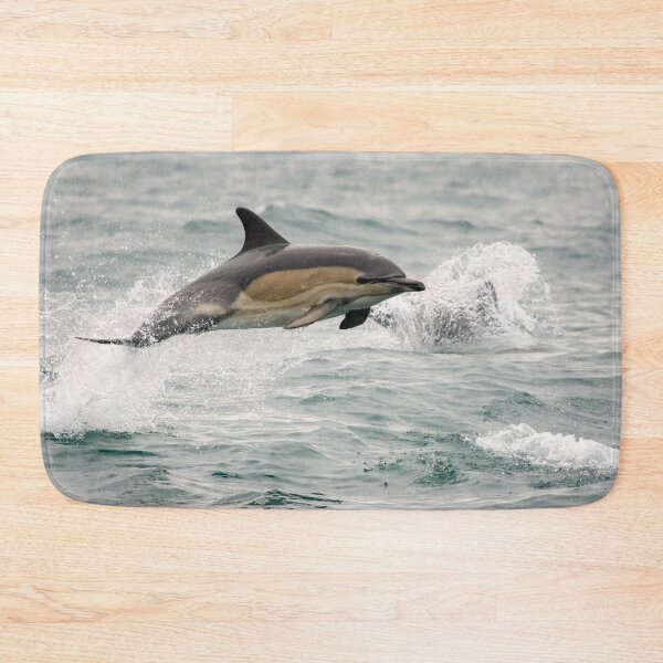 Item preview, Common Dolphin, West Cork, Ireland designed and sold by Calvin Jones.
