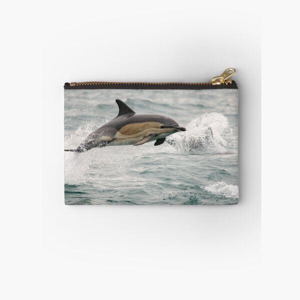 Item preview, Common Dolphin, West Cork, Ireland designed and sold by Calvin Jones.