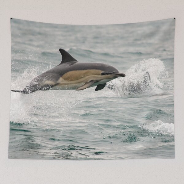 Item preview, Common Dolphin, West Cork, Ireland designed and sold by Calvin Jones.