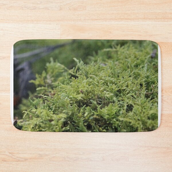 Item preview, Soft Moss designed and sold by SariePhotograph.
