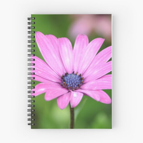 Artikelvorschau, Pinke Blume entworfen und verkauft von ScottishSteph.